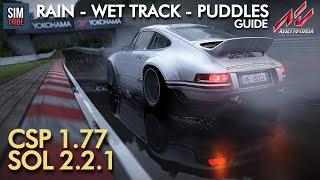 RAIN - WET TRACK - PUDDLES Guide 2022 | CSP 1.77 & SOL 2.2.1 | Assetto Corsa