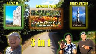 Mt. Sinai X Celossian Farm X Tanay Parola Extreme Kami -  Seth Travel Vlog Official