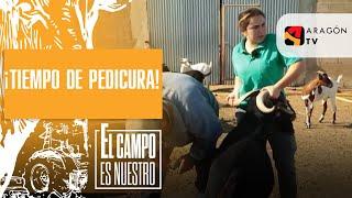 ¡Tiempo de pedicura!