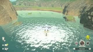 Pokémon Legends Arceus Shiny Hunting Stream!