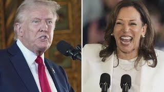 Trump vs Harris latest | Election 2024