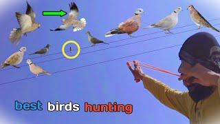 best birds hunting with slingshot!