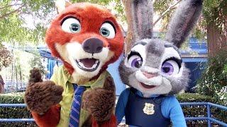 Nick Wilde & Judy Hopps from Disney's Zootopia Meet & Greet, Disney California Adventure, Disneyland