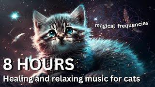 528 Hz Magical Healing Music For Cats with Relaxing Purring Sounds For Anxiety and Stress Relief