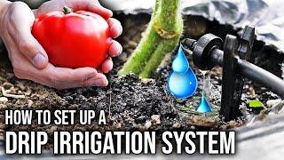 How to Set Up an Automatic Drip Irrigation System for the Garden