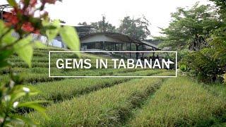 Hidden Gems of Tabanan Tour, Bali