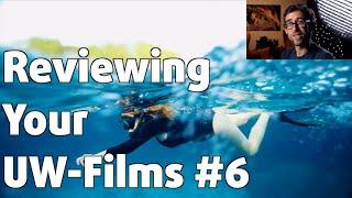 Reviewing YOUR UNDERWATER FILMS #6 ⎜ Aquatic Images