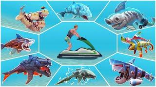 ALL SPECIAL SHARKS VS JETSKI! Hungry Shark Evolution