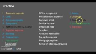 Elements/Account Types & Account Classification Practice