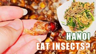 Vietnam Food Tour #6: SO GROSS! EAT INSECT CHALLENGE in Hanoi | Food Travel