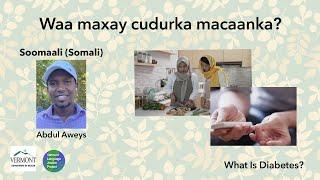 SOMALI: Waa maxay cudurka macaanka? | What is Diabetes?