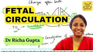 Fetal circulation physiology | Cardiovascular system mbbs