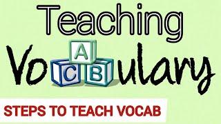 Teaching Vocabulary | STEPS to Teach Vocabulary