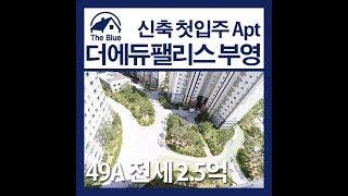 부산 강서구 명지동 명지에듀팰리스49A전세2 5억