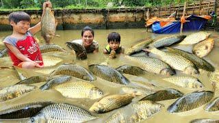 Full video 45 days, trapping fish, harvesting fish and bringing them to market to sell.