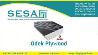 Rus Plywood - Sesa Plywood +90 312 350 49 81 www.sesaplywood.com