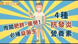 【華人健康網】健康小學堂- 甩開肥胖、疲勞！必補益菌生4種抗發炎營養素