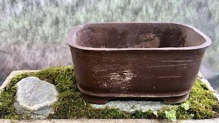 DIY cement bonsai pot