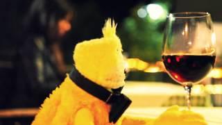 LRCC PRODUCTIONS - One Day in the Life of Flat Eric in Madeira