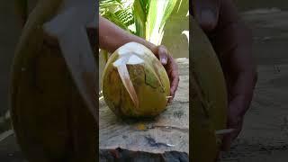 a new style of peeling coconut
