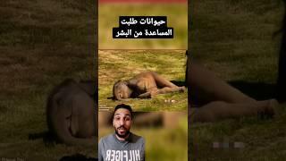 حيوانات طلبت المساعده من البشر #حيوانات