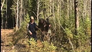 Deer Quests Greg Hopfs Outdoor Adventures Manitoba Black Bear (Part 1) (Episode #4)