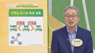 (흡수율 甲) 대두 단백질의 31%나 흡수율이 높은 [유청 단백질] TV정보쇼 알짜왕(alzzaking) 168회