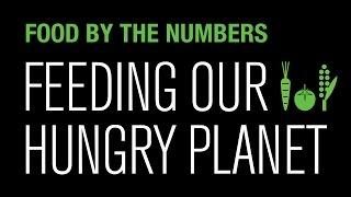 Food by the Numbers: Feeding Our Hungry Planet | National Geographic