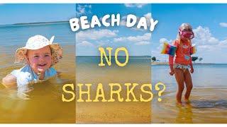 Day at our Texas Beach- fish, deer and fun #vlog #beach #viral