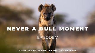 Episode 5 - Never A Dull Moment ⏐ A Day In The Life Of The Onguma Reserve