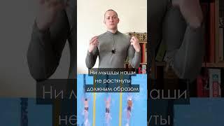 ПОЧЕМУ МОГУТ БОЛЕТЬ ПЛЕЧИ ПРИ ПЛАВАНИИ КРОЛЕМ