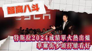 【智高八斗】特斯拉2024成绩单火热出炉，华尔街多头持续看好 ！#特斯拉 #马斯克