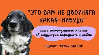 “Это вам не дворняга какая-нибудь” — наше непопулярное мнение об индустрии собак