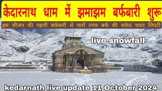 kedarnath yatra live update || kedarnath live snowfall ️️ || kedarnath update today ||