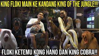 KING FLOKI MAIN KE KANDANG KING OF THE JUNGLE!!! FLOKI KETEMU KONG HANO DAN KING COBRA!! FLOKI