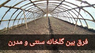 گلخانه سنتی گوجه فرنگی چطور ساخته میشن؟