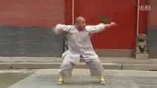 少林小洪拳 Shaolin Xiao Hong Quan