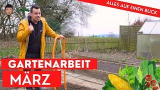 Gartenarbeit im März - alle wichtigen Aufgaben für Hochbeet, Gemüsegarten und Stauden