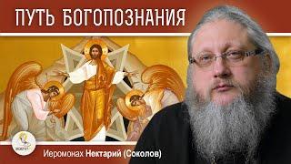 СВЕТЛАЯ СЕДМИЦА. ПУТЬ БОГОПОЗНАНИЯ. Иеромонах Нектарий (Соколов)