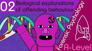 Biological explanations of offending behaviour - Forensic Psychology [AQA ALevel]