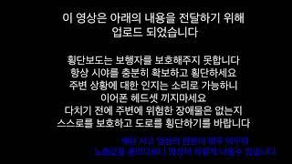 [잡학영상] 성수사거리 보행자 역과 교통사고 블랙박스 영상