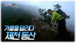 이름이 동산이라고 만만하게 봤다가는 큰일납니다 '제천 동산' [영상앨범 산] KBS 241006 방송