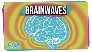 What Do Different Brainwaves Mean?