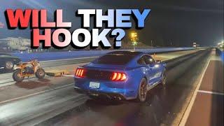 Testing the Nitto 555R2 drag radials - Will they hook? 10 Speed Mustang 5.0