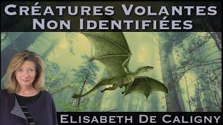 « Créatures Volantes Non Identifiées » avec Elisabeth de Caligny