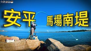 【這裡的魚吃了⭐"無敵星星"?失速的線杯!】安平馬場南堤的難題#熱血大叔