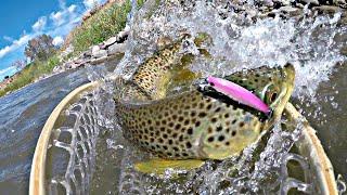 BIG TROUT ALL DAY River Fishing in Colorado!