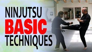 NINJUTSU BASIC TECHNIQUES