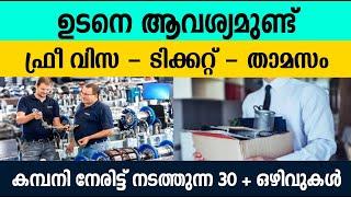 How to get job in Emirates Dubai , Gulf jobs today| Dubai Jobs 2025\ Dubai job vacancy Malayalam/