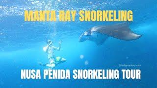 NUSA PENIDA SNORKELING TOUR | The Best Manta Ray Snorkeling Experience 2022